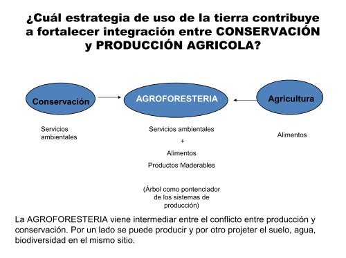 âSistemas Agroforestales como herramienta para ... - SIGAM