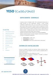 YESO (Ca(SO4)*2H2O)Â· 2H2O) - Universidad de Antofagasta