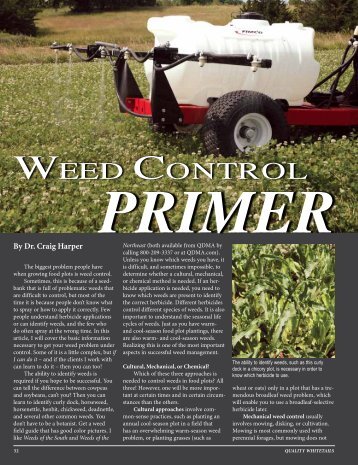 A primer on herbicide use for quality food plots