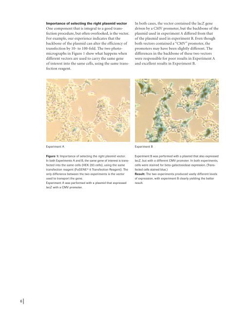 FuGENEÂ® HD Transfection Reagent Identifying and Solving ...