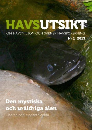 HavsUtsikt nr 1,2013 - Havet.nu