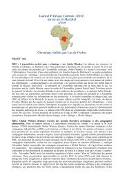 Journal d'Afrique Centrale - R.D.C. du 1er au 15 Mai 2013 nÂ°219 ...