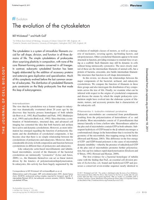 The evolution of the cytoskeleton - University of Oxford