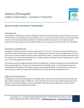 Ananas lucidus Pineapple - Cultural Sheet (PDF) - ForemostCo