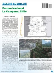 Parque Nacional La Campana, Chile. - Atualidades Ornitológicas