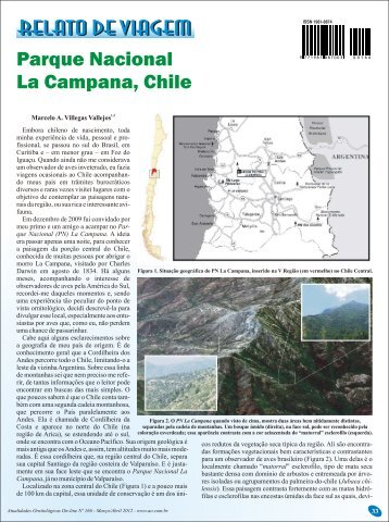 Parque Nacional La Campana, Chile. - Atualidades Ornitológicas