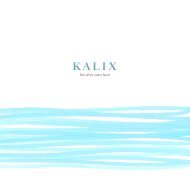 Kalix - dÃ¤r Ã¤lven mÃ¶ter havet (PDF) - KalixlÃ¶jrom