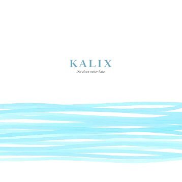 Kalix - dÃ¤r Ã¤lven mÃ¶ter havet (PDF) - KalixlÃ¶jrom