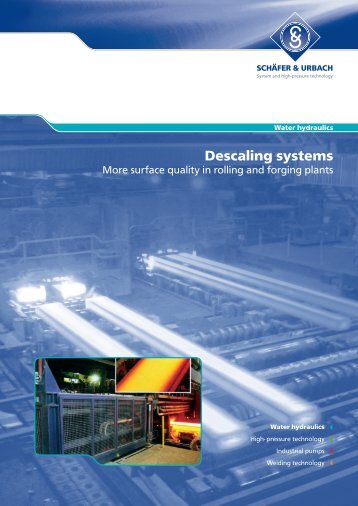 Descaling systems - Woma
