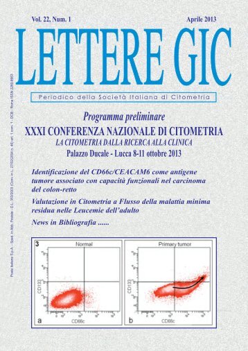 LETTERE GIC Aprile 2013 - Enea