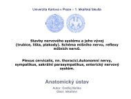 VÃ½voj a stavba CNS - AnatomickÃ½ Ãºstav 1.LF UK - Univerzita Karlova