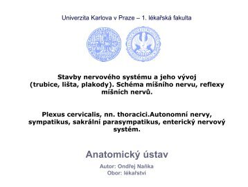 VÃ½voj a stavba CNS - AnatomickÃ½ Ãºstav 1.LF UK - Univerzita Karlova