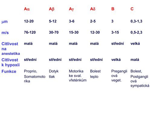 VÃ½voj a stavba CNS - AnatomickÃ½ Ãºstav 1.LF UK - Univerzita Karlova