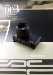 The SIGMA DP2x