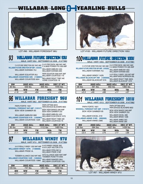 willabar long yearling bulls