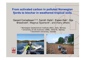 From activated carbon in polluted Norwegian fjords to biochar ... - NGI
