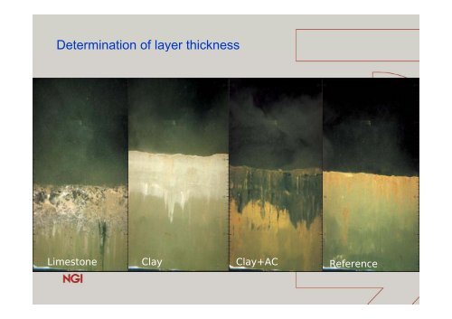 From activated carbon in polluted Norwegian fjords to biochar ... - NGI