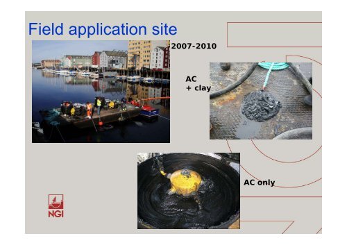 From activated carbon in polluted Norwegian fjords to biochar ... - NGI