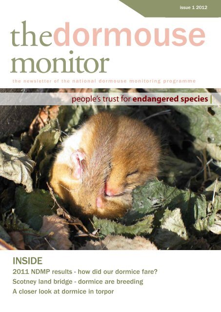 The Dormouse Monitor vol 1 2012 - People's Trust for Endangered ...