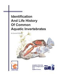 Identification and Life History of Common Aquatic Invertebrates