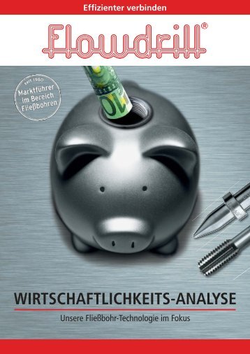 WIRTSCHAFTLICHKEITS-ANALYSE - Flowdrill