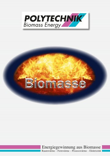 POLYTECHNIK Biomass Energy