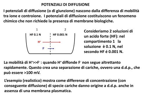 lezione fisiologia umana 12-03-2013 - Omero