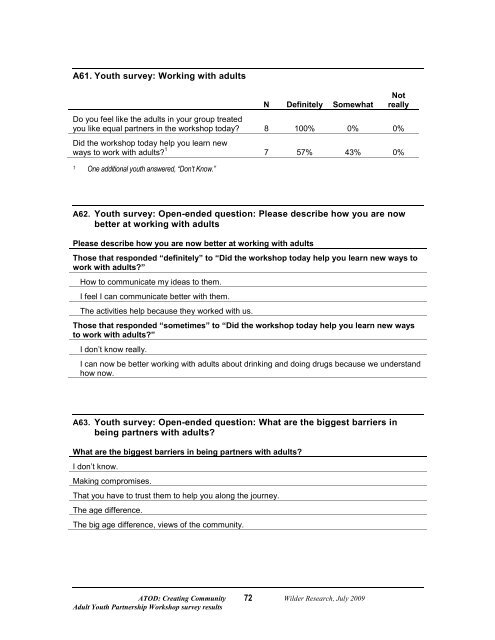 Adult Youth Partnership Workshop Survey Results