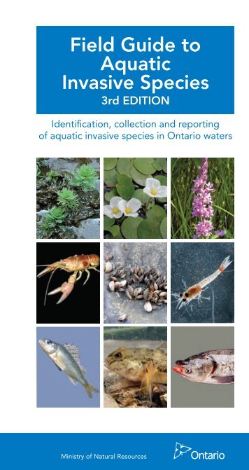 Field Guide to Aquatic Invasive Species - Ministry of Natural ...