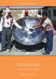 Estudio Sintesis RAM PERU - Inventar Perú