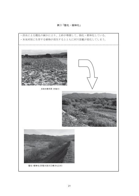 河川環境管理計画に関する研究ノート〔Ⅱ〕 - 河川環境管理財団