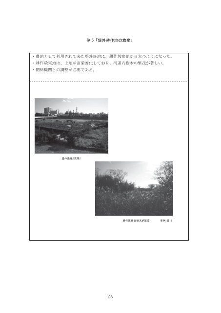 河川環境管理計画に関する研究ノート〔Ⅱ〕 - 河川環境管理財団
