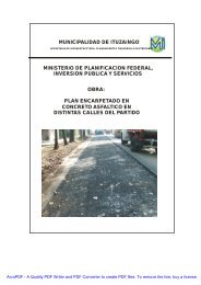 MUNICIPALIDAD DE ITUZAINGO OBRA: PLAN ... - ItuzaingÃ³