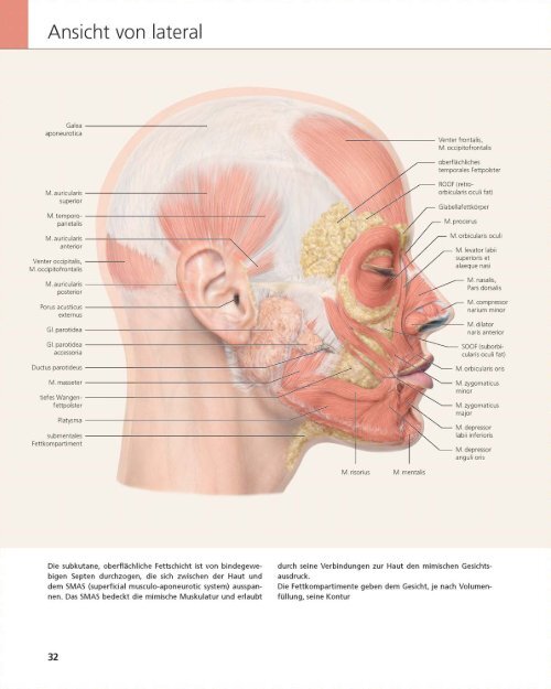 „Das Gesicht – Bildatlas klinische Anatomie“ Bildatlas (Leseprobe)