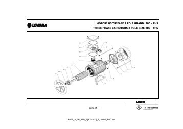 MOTORI B5 TRIFASE 2 POLI GRAND. 200 - FHS THREE ... - Lowara