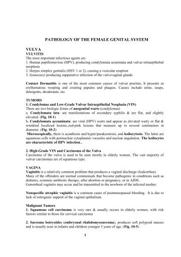 PATHOLOGY OF THE FEMALE GENITAL SYSTEM VULVA