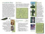 General EAB Brochure - Illinois Department of Agriculture