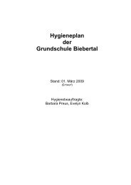 Hygieneplan Grundschule Biebertal