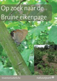 Bruine eikenpage - Natuurpunt