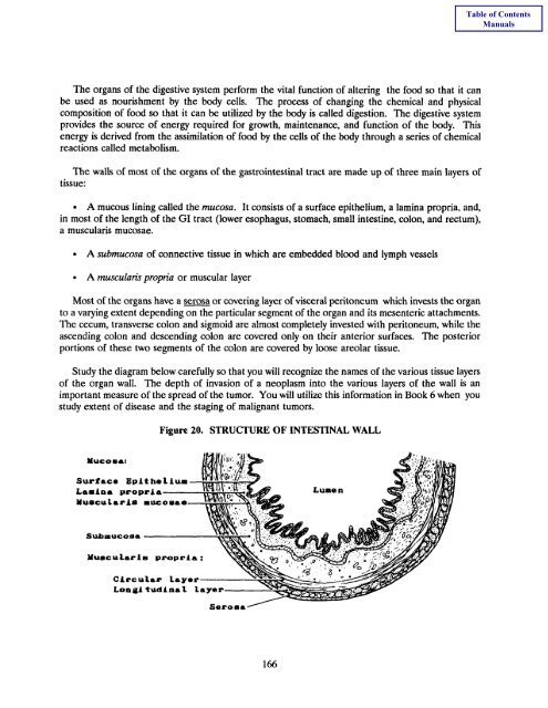 Book 4 - Self Instructional Manual for Cancer Registrars - SEER ...