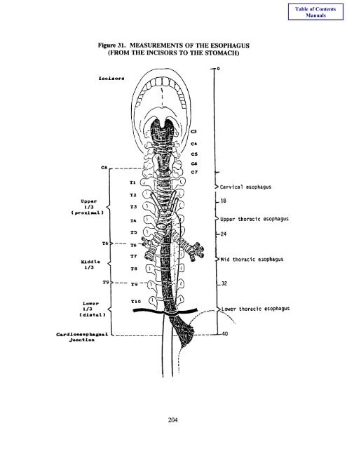 Book 4 - Self Instructional Manual for Cancer Registrars - SEER ...