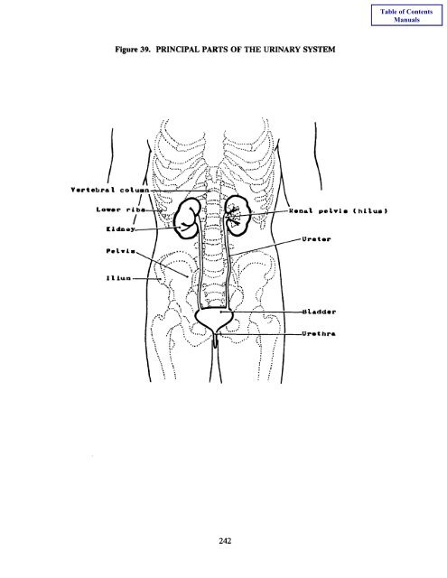 Book 4 - Self Instructional Manual for Cancer Registrars - SEER ...