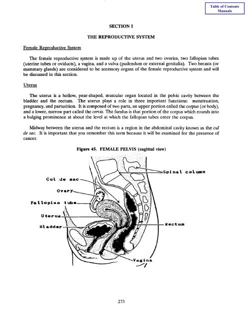Book 4 - Self Instructional Manual for Cancer Registrars - SEER ...