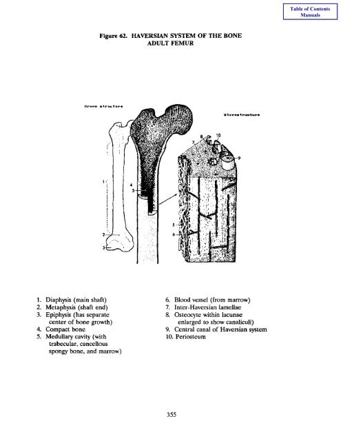 Book 4 - Self Instructional Manual for Cancer Registrars - SEER ...