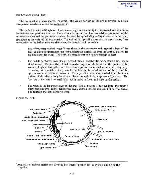 Book 4 - Self Instructional Manual for Cancer Registrars - SEER ...