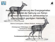 Scheingraber_Analyse der VerÃ¤nderung der Energiegehaltes.pdf