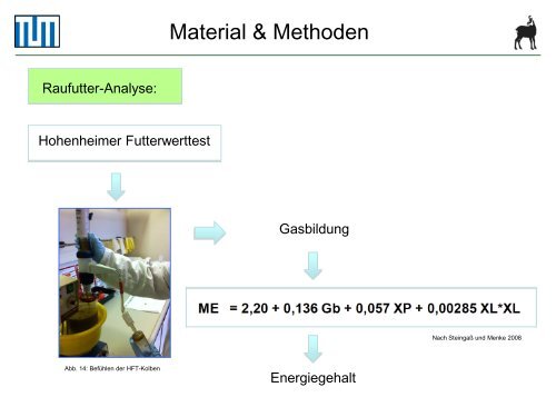 Scheingraber_Analyse der VerÃ¤nderung der Energiegehaltes.pdf
