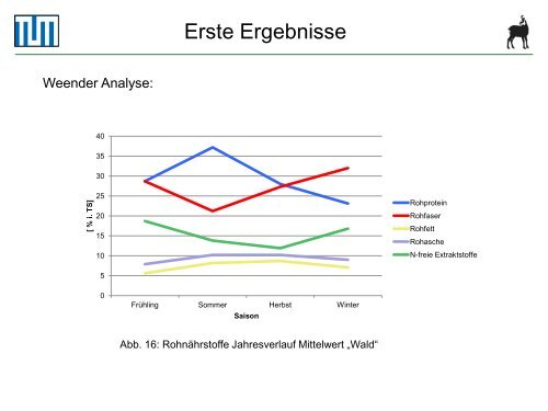 Scheingraber_Analyse der VerÃ¤nderung der Energiegehaltes.pdf