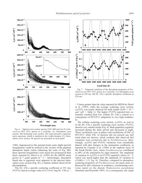 Diel variation in Prochlorococcus optical properties - Station ...