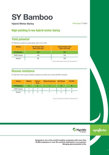 SY Bamboo - Syngenta